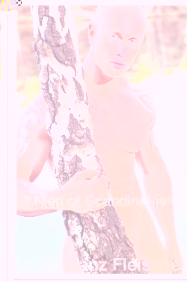 straightboysphotos-Hunks-of-Sweden (18)