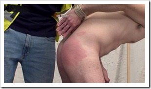 brutal tops - Construction Site Violators (5)