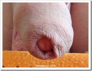 miami boyz - JUICY UNCUT STR8 LATINO (18)