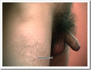 sneaky peek hidden cam (11)